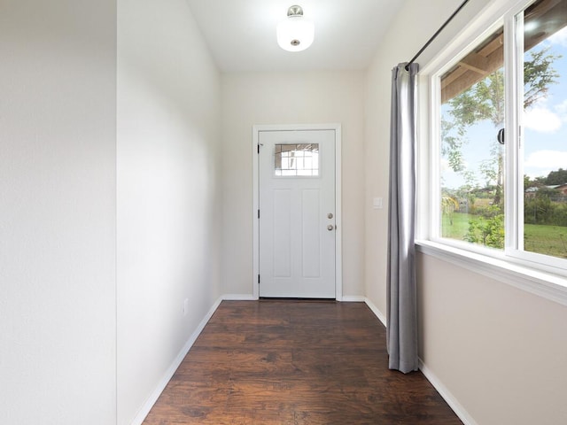 entryway featuring dark hardwood / wood-style floors