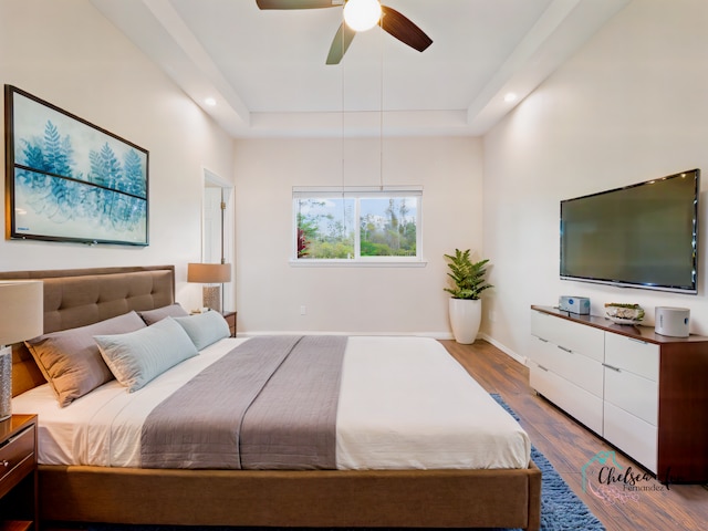 bedroom with ceiling fan, hardwood / wood-style floors, and a raised ceiling