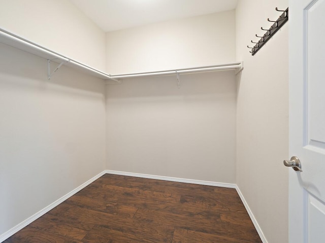 walk in closet featuring dark hardwood / wood-style floors