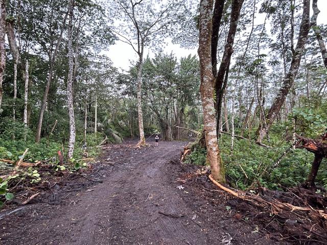 Rd A, Pahoa HI, 96778 land for sale