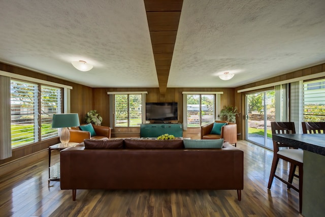 living room featuring dark wood-type flooring, a textured ceiling, and wooden walls