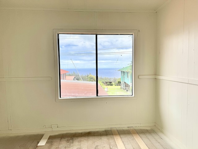 unfurnished room with light wood-type flooring