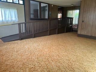 carpeted empty room featuring wooden walls and a healthy amount of sunlight