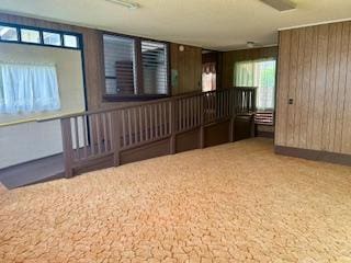 interior space with wood walls