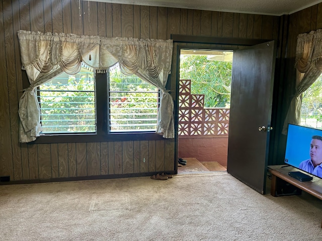 carpeted empty room with a wealth of natural light and wood walls