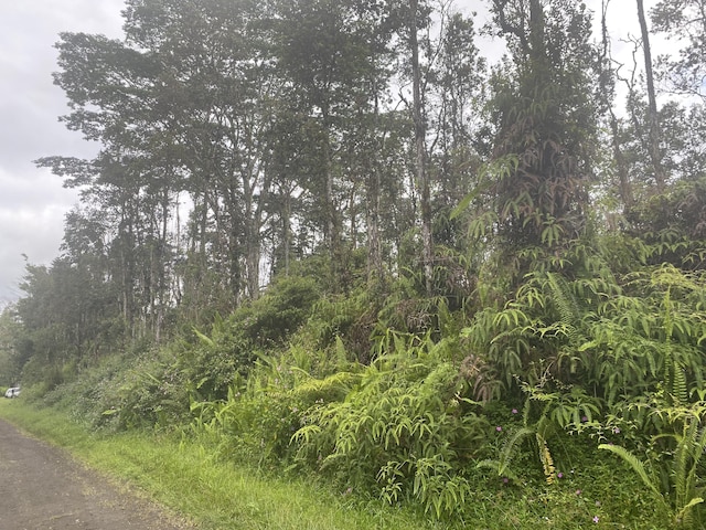 Ginger Rd, Pahoa HI, 96778 land for sale