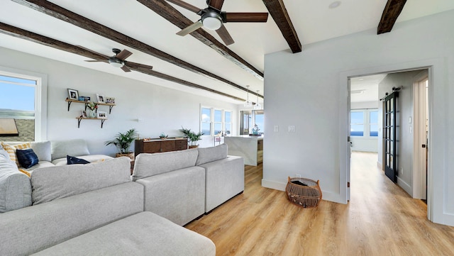 living room featuring beamed ceiling, light hardwood / wood-style floors, and ceiling fan