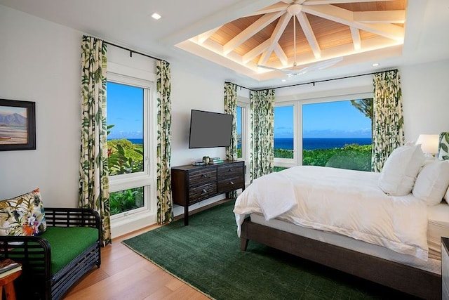 bedroom featuring multiple windows, wood-type flooring, and a raised ceiling