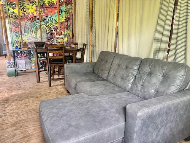 living room with wood-type flooring