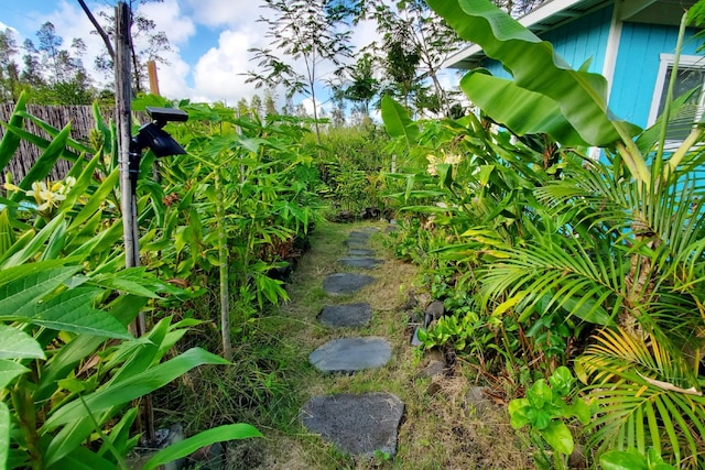 view of yard