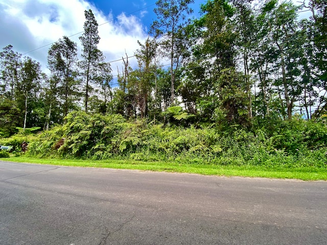 Listing photo 3 for 13-3636 E Pomaikai St, Pahoa HI 96778