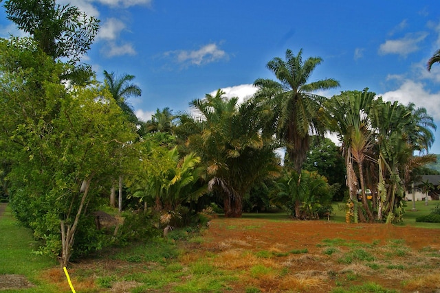 Listing photo 2 for Puupilo Rd, Kapaa HI 96746