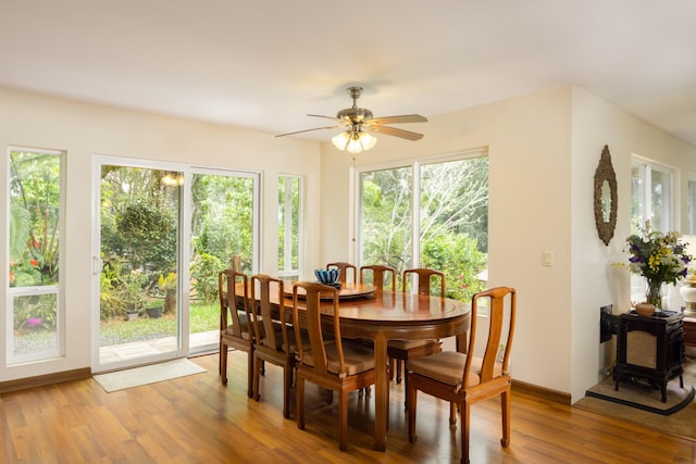 dining space featuring ceiling fan, plenty of natural light, and wood-type flooring