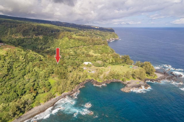 36-1070 Laupahoehoe Point Rd, Laupahoehoe HI, 96764 land for sale