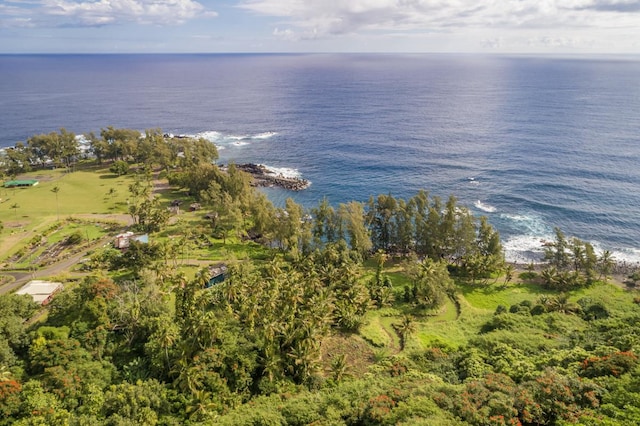 Listing photo 3 for 36-1070 Laupahoehoe Point Rd, Laupahoehoe HI 96764