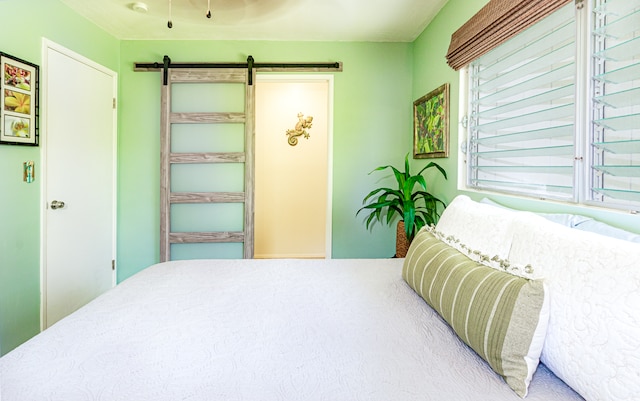 bedroom with a barn door