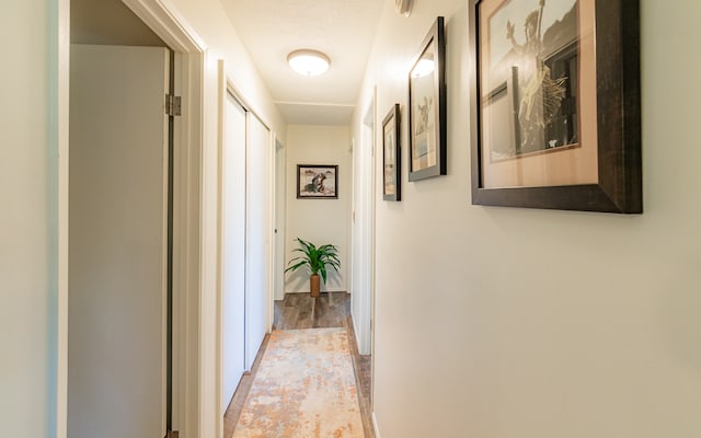 hall featuring hardwood / wood-style flooring