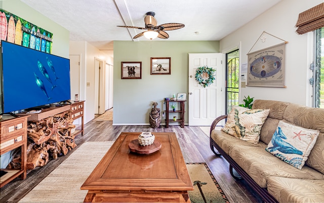 living room featuring wood-type flooring, ceiling fan, and a textured ceiling