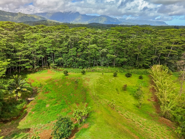 drone / aerial view featuring a mountain view