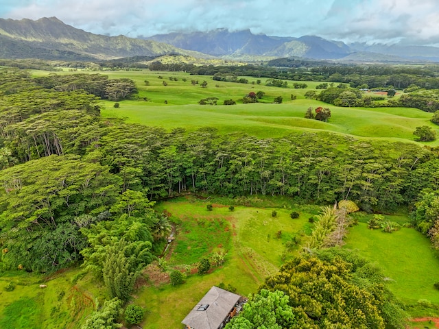 aerial view featuring a mountain view