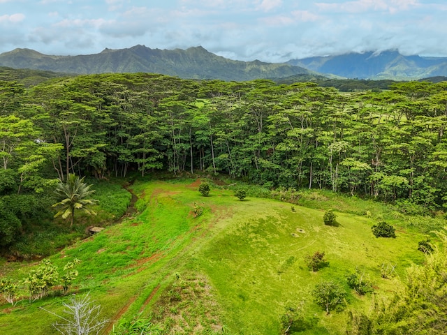 property view of mountains