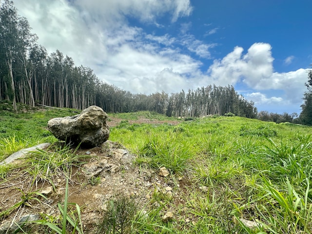 Cane Haul Rd, Honokaa HI, 96727 land for sale