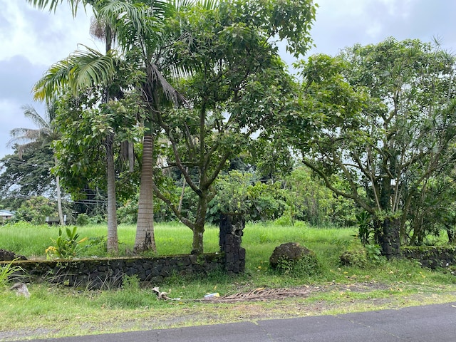 1391 Kalanianaole St, Hilo HI, 96720 land for sale