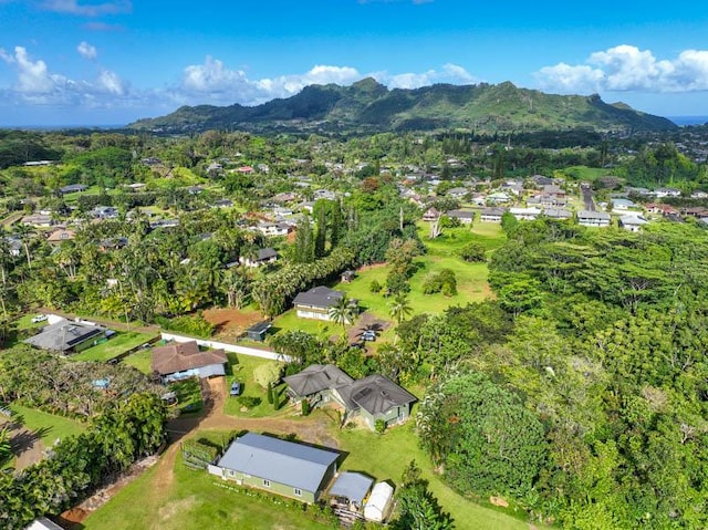 drone / aerial view with a mountain view