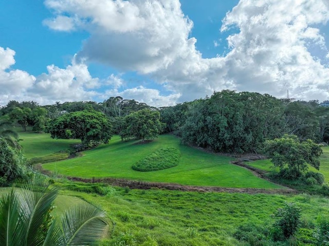 surrounding community featuring a lawn