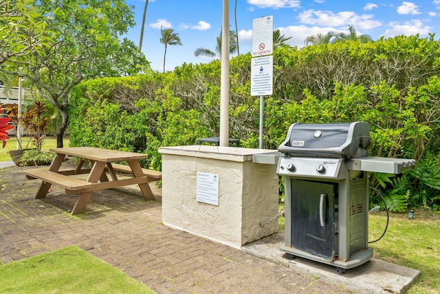 view of patio / terrace with a grill