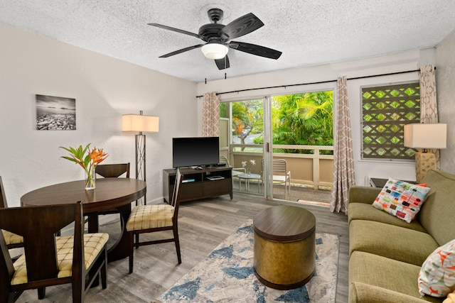 living room featuring ceiling fan, a textured ceiling, and light wood-type flooring