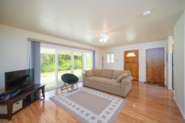 living room featuring ceiling fan and light hardwood / wood-style flooring