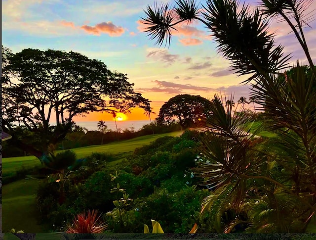 view of landscape