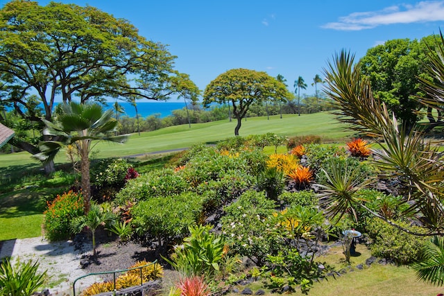 view of community with view of golf course and a lawn