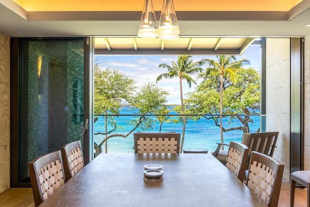 dining space featuring a water view, plenty of natural light, and wood-type flooring