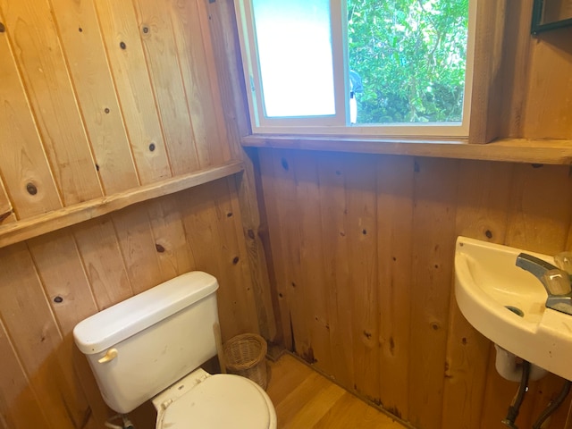 bathroom featuring toilet, wooden walls, and hardwood / wood-style floors