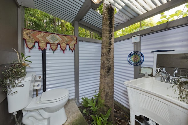 bathroom with a sink and toilet