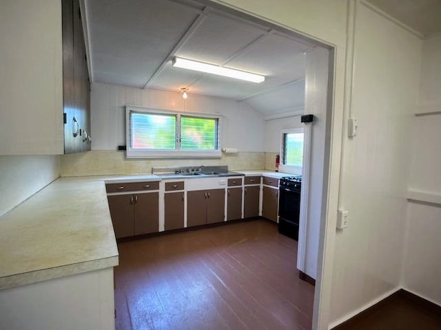 kitchen featuring sink, dark wood-type flooring, dishwashing machine, black stove, and vaulted ceiling