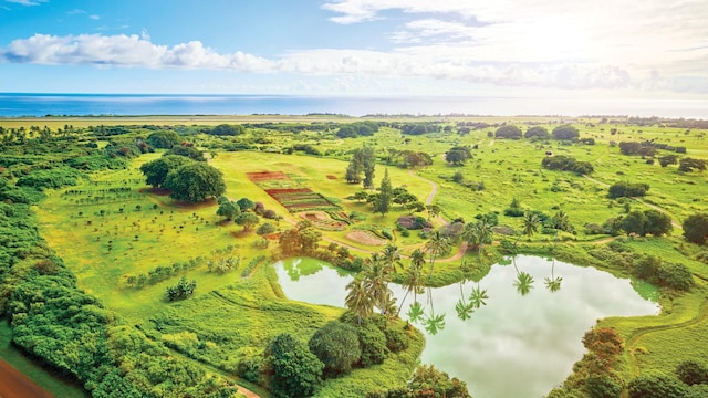 drone / aerial view with a rural view and a water view