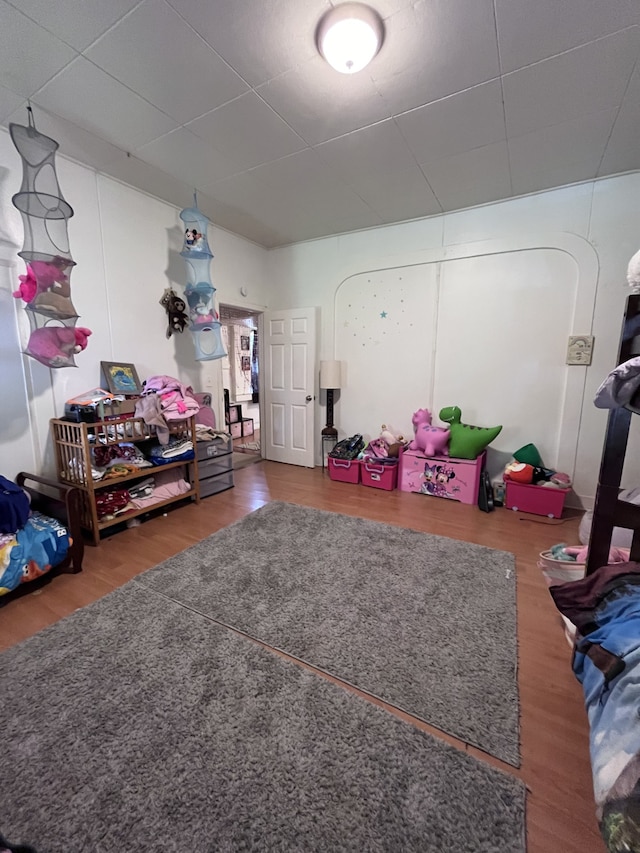 recreation room with wood-type flooring