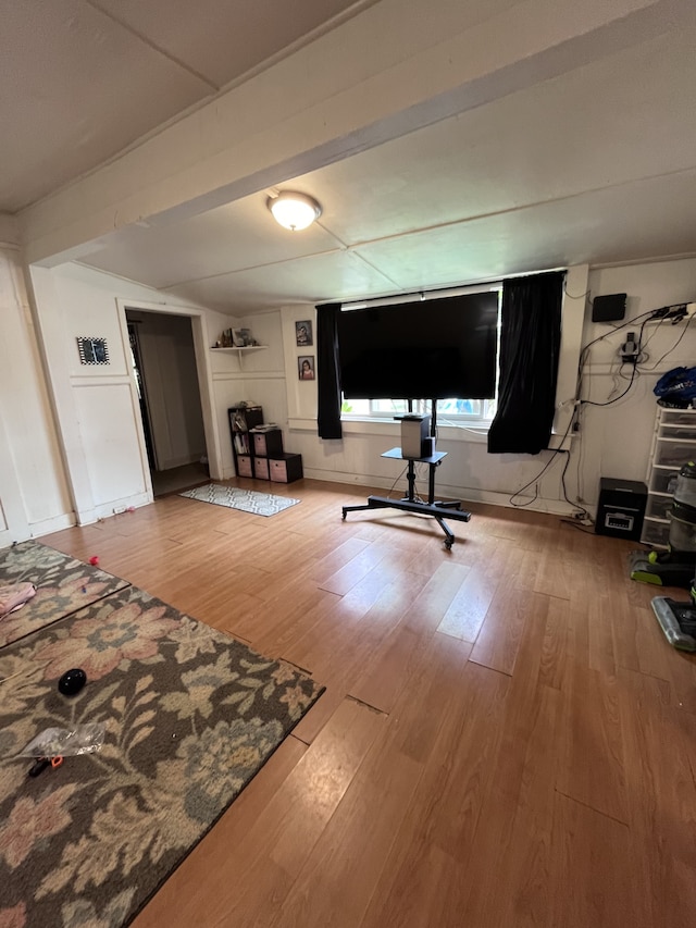 workout room featuring wood-type flooring