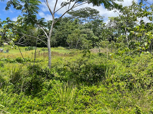 Kahakai Blvd, Pahoa HI, 96778 land for sale