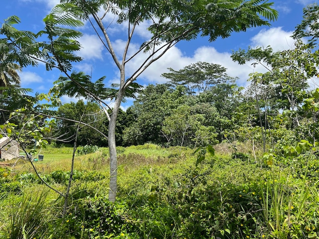 Listing photo 3 for Kahakai Blvd, Pahoa HI 96778