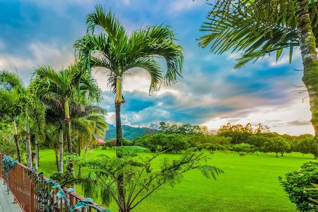 view of community featuring a lawn