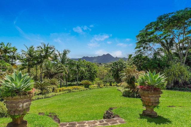 view of yard with a mountain view