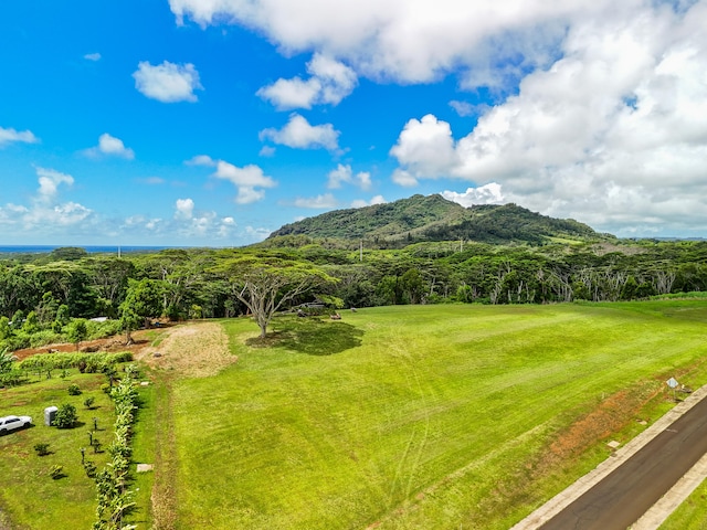 Listing photo 2 for Unit 13B, Kapaa HI 96746