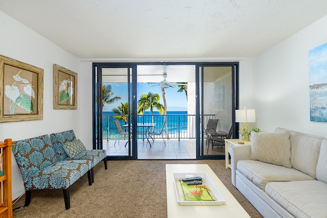 view of carpeted living room