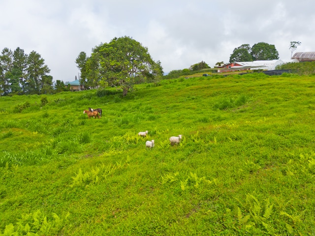 view of nature with a rural view