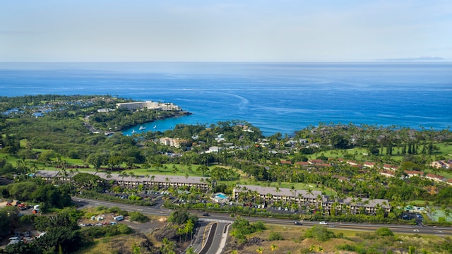 bird's eye view with a water view