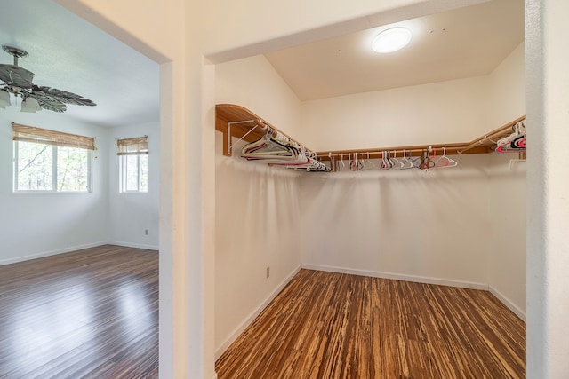 spacious closet featuring dark wood-type flooring and ceiling fan